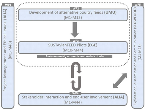 img-implementation